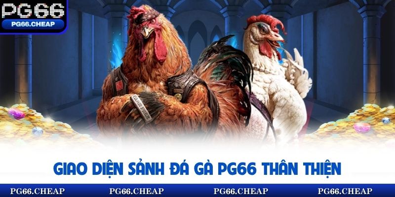 Giao diện sảnh đá  gà PG66 thân thiện