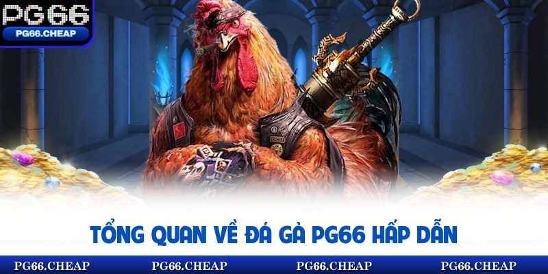 Tổng quan về đá gà online PG66 hấp dẫn